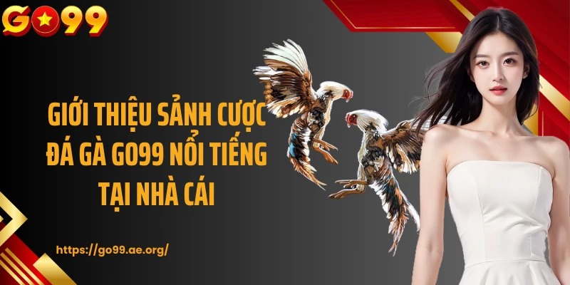 Giới thiệu sảnh cược đá gà GO99 nổi tiếng tại nhà cái