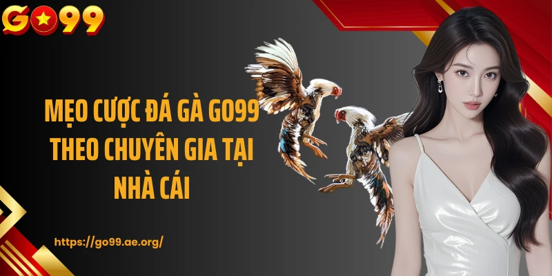 Mẹo cược đá gà GO99 theo chuyên gia tại nhà cái